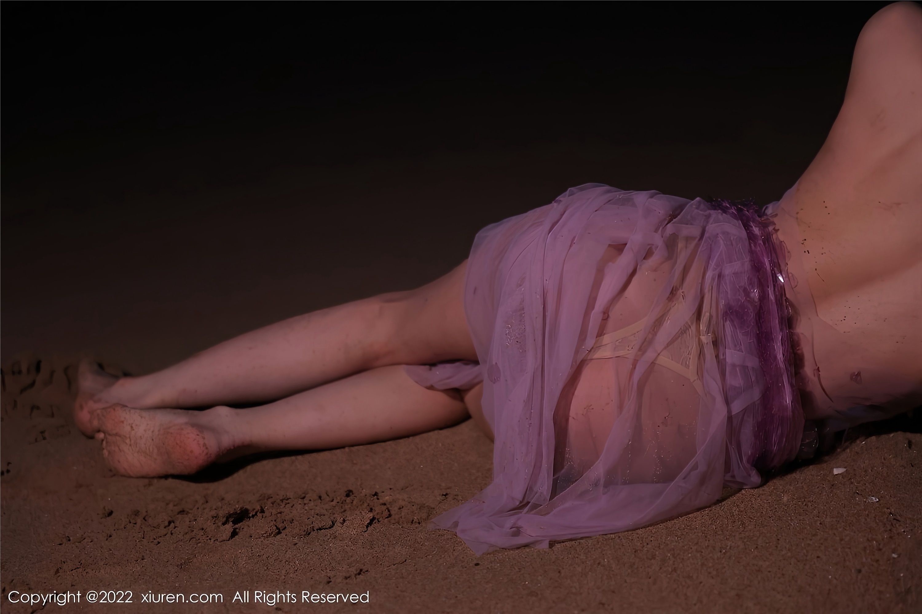 Xiuren秀人网 2022.11.22 NO.5890 tina_甜仔